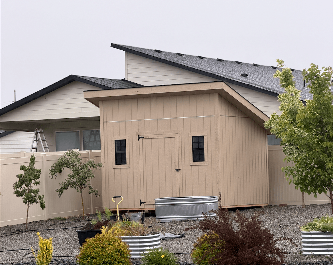modern studio shed with two windows and single door in back of yard