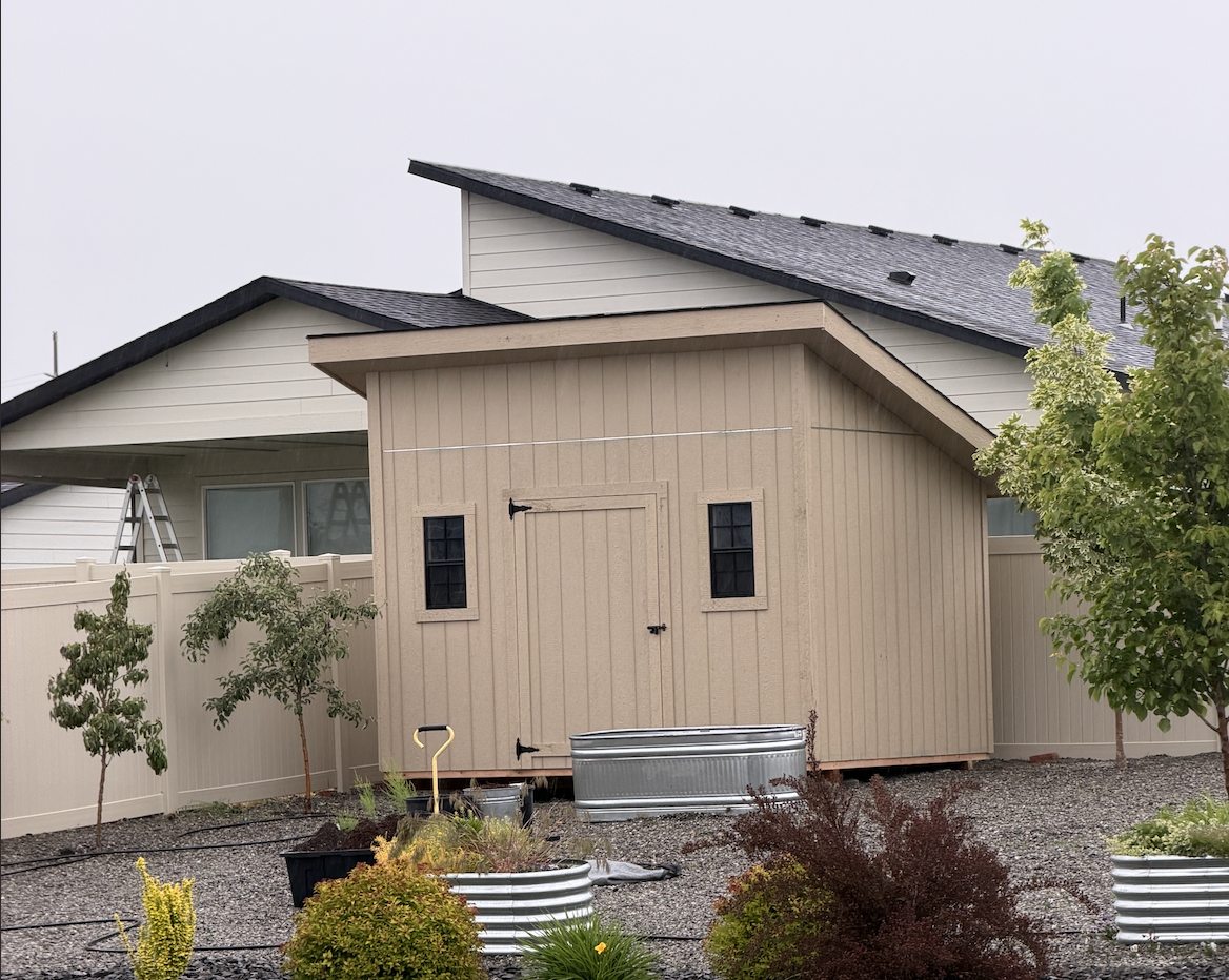 modern studio shed with two windows and single door in back of yard